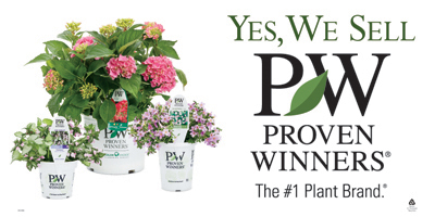 Drew's Garden proudly features Proven Winners Brand